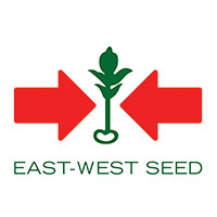 East West Seed Philippines